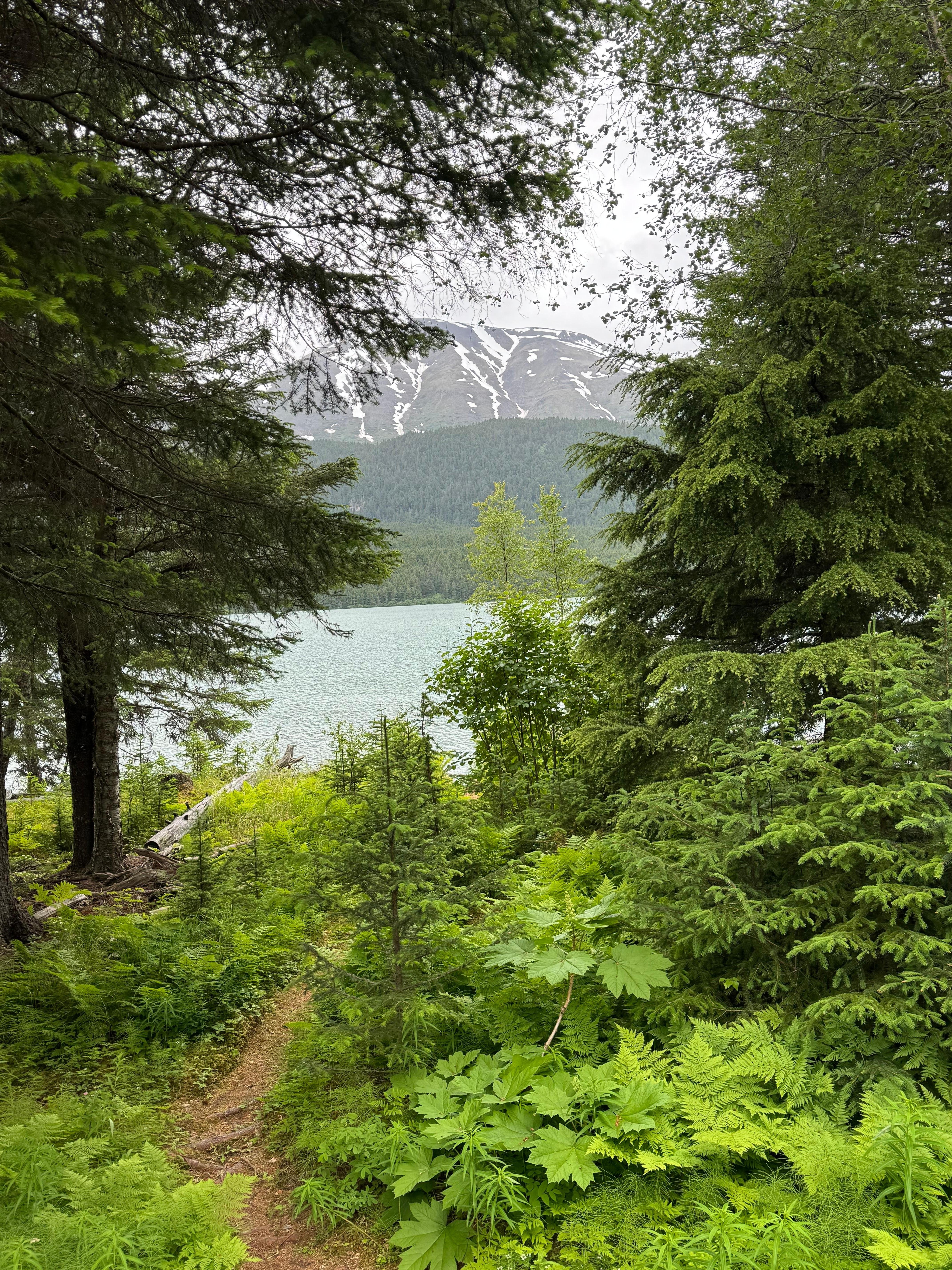 View from the house towards the lake.