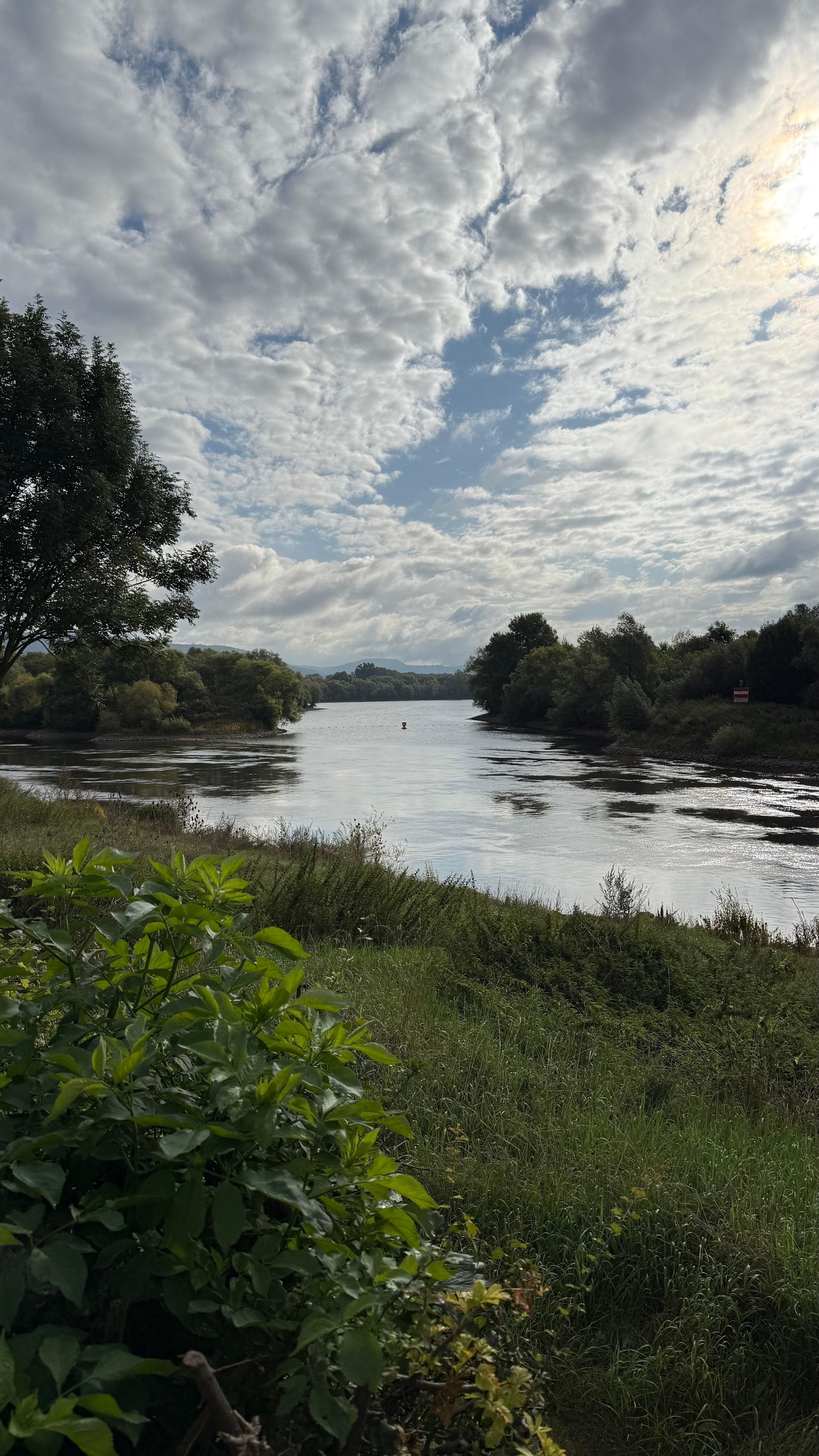 Weseraussicht am Morgen 