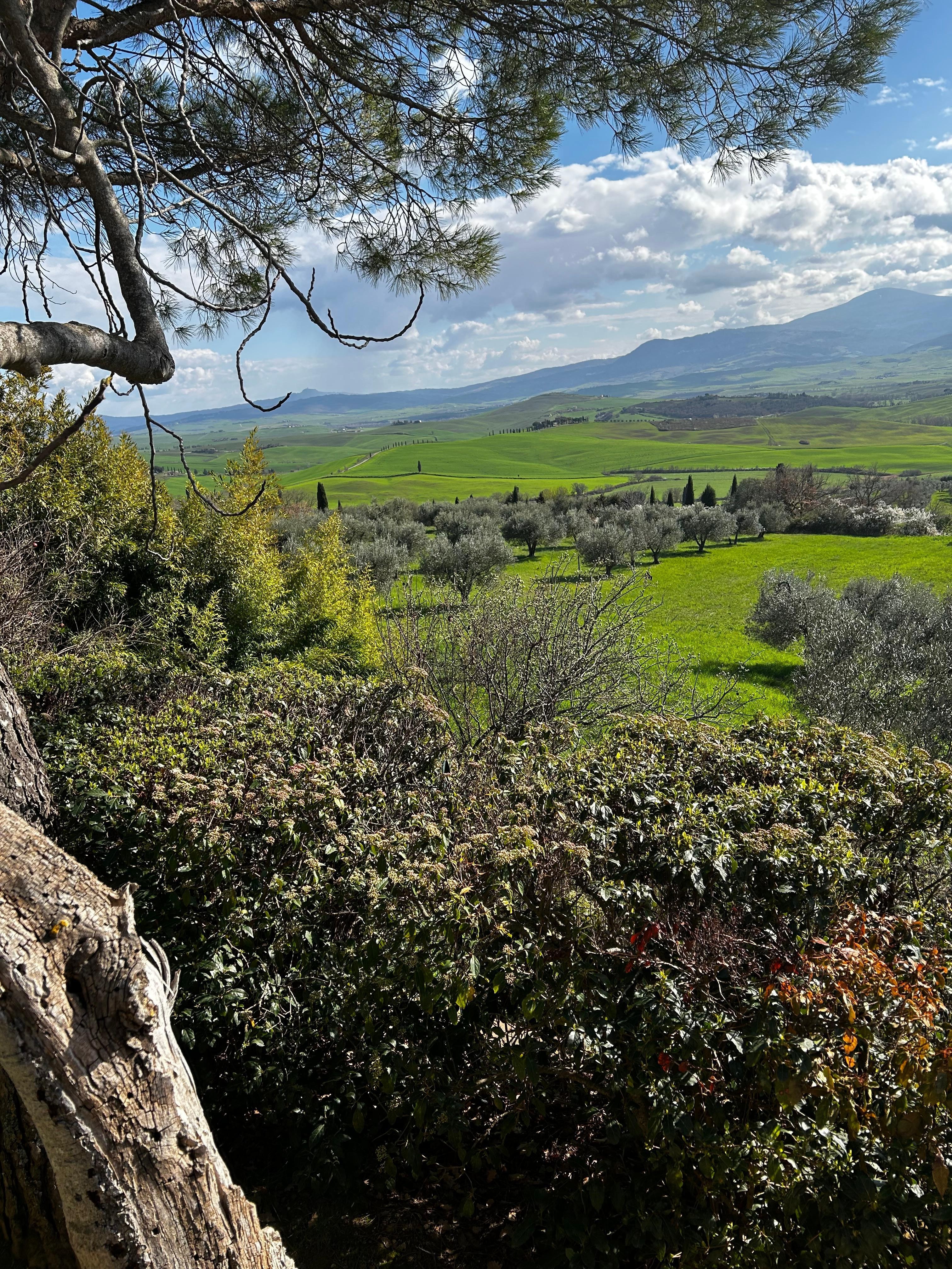 View from the bottom of the steps to the house. 