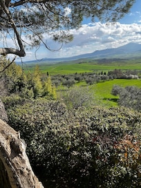 View from the bottom of the steps to the house.