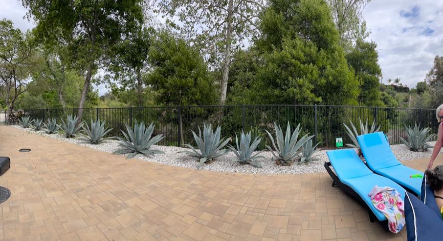 Nice loungers