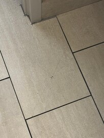 Broken tile that was lose