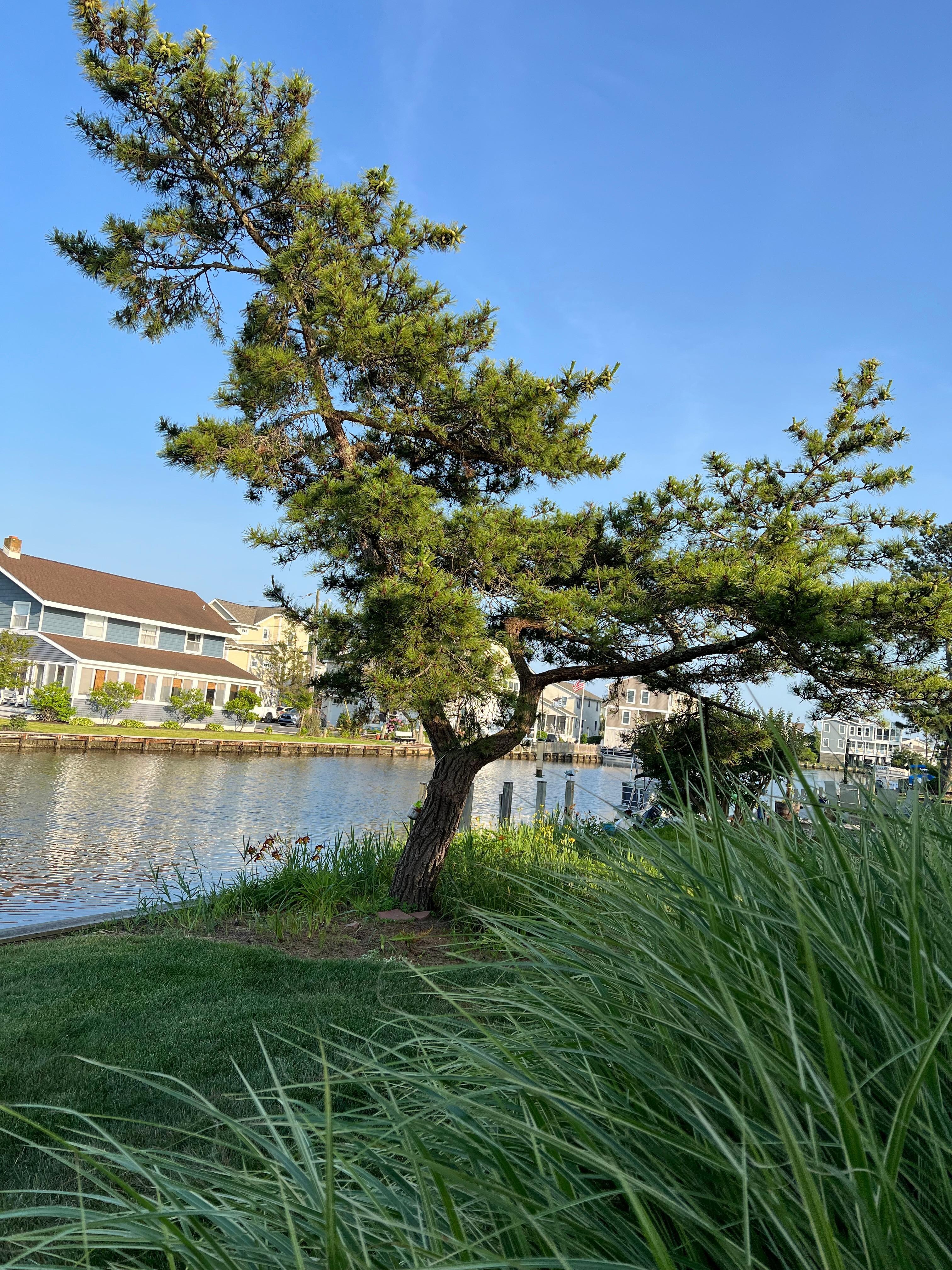 Beautiful weather, great views