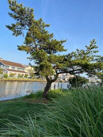 Beautiful weather, great views