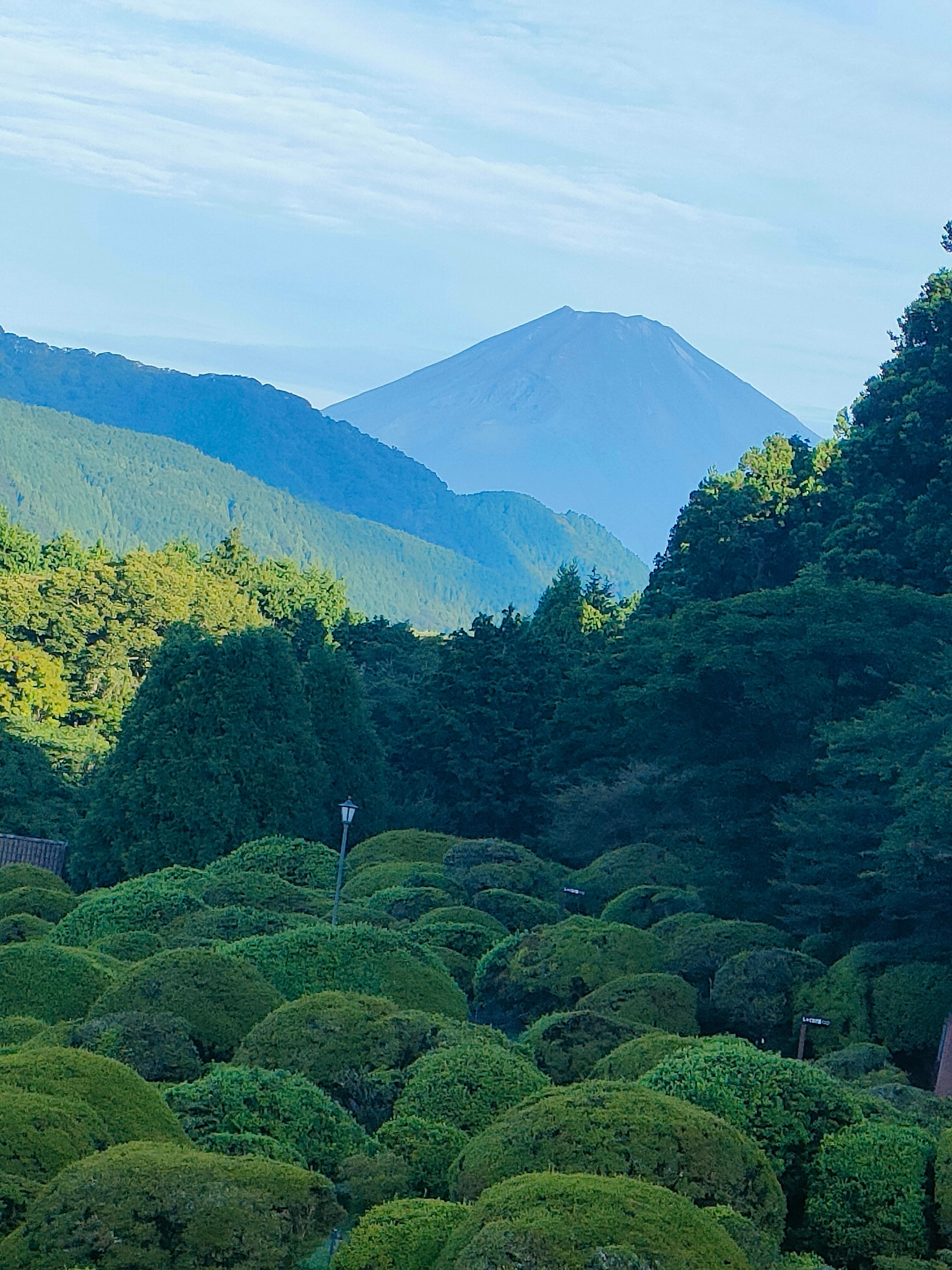 4階のテラスから朝のうち富士山が見えた。