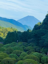4階のテラスから朝のうち富士山が見えた。