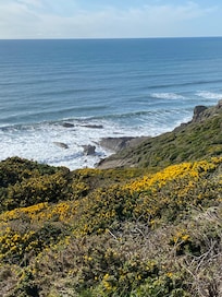 Coastal path