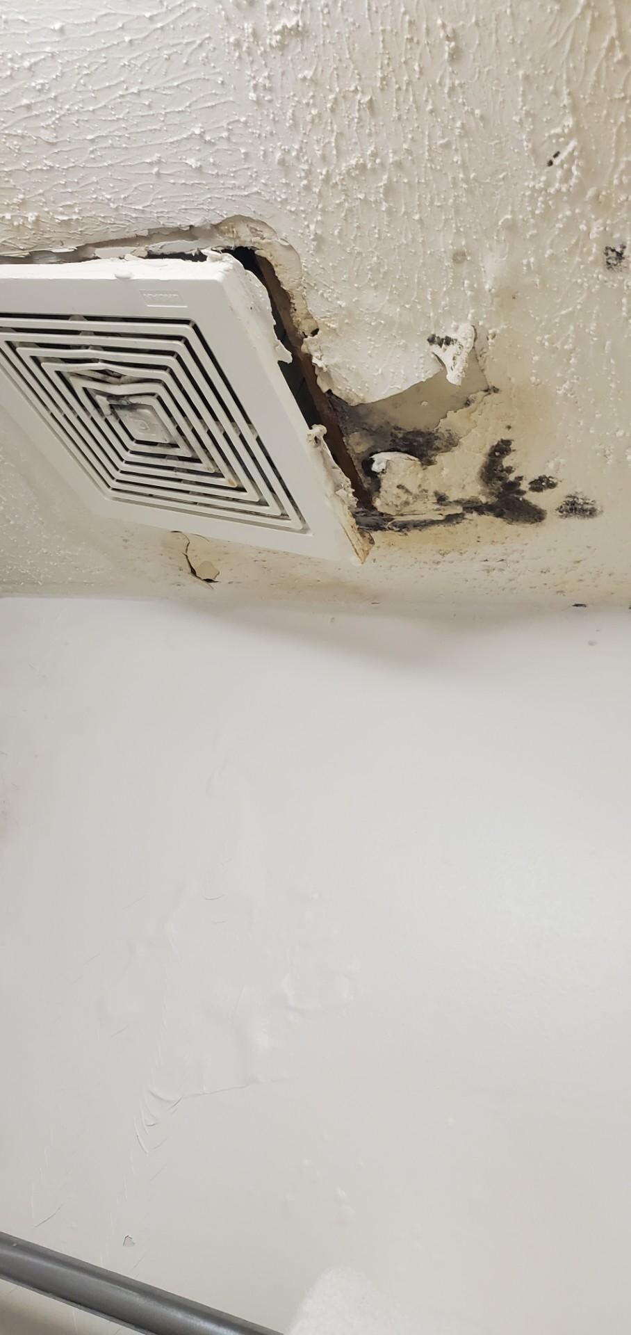 NO wife, no ice machine and Black mold