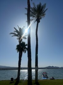 Early morning from the patio of the beach level room