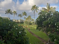 View from lanai