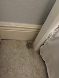 Hair balls behind Every bed