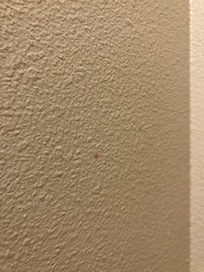 Walls loaded with dirt and who knows