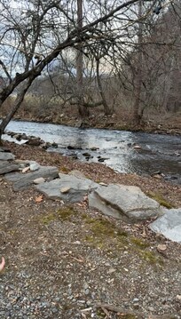 The cabins are literally on the Creekside. It is shallow enough even for small kids (with supervision).