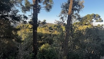 Vista da janela