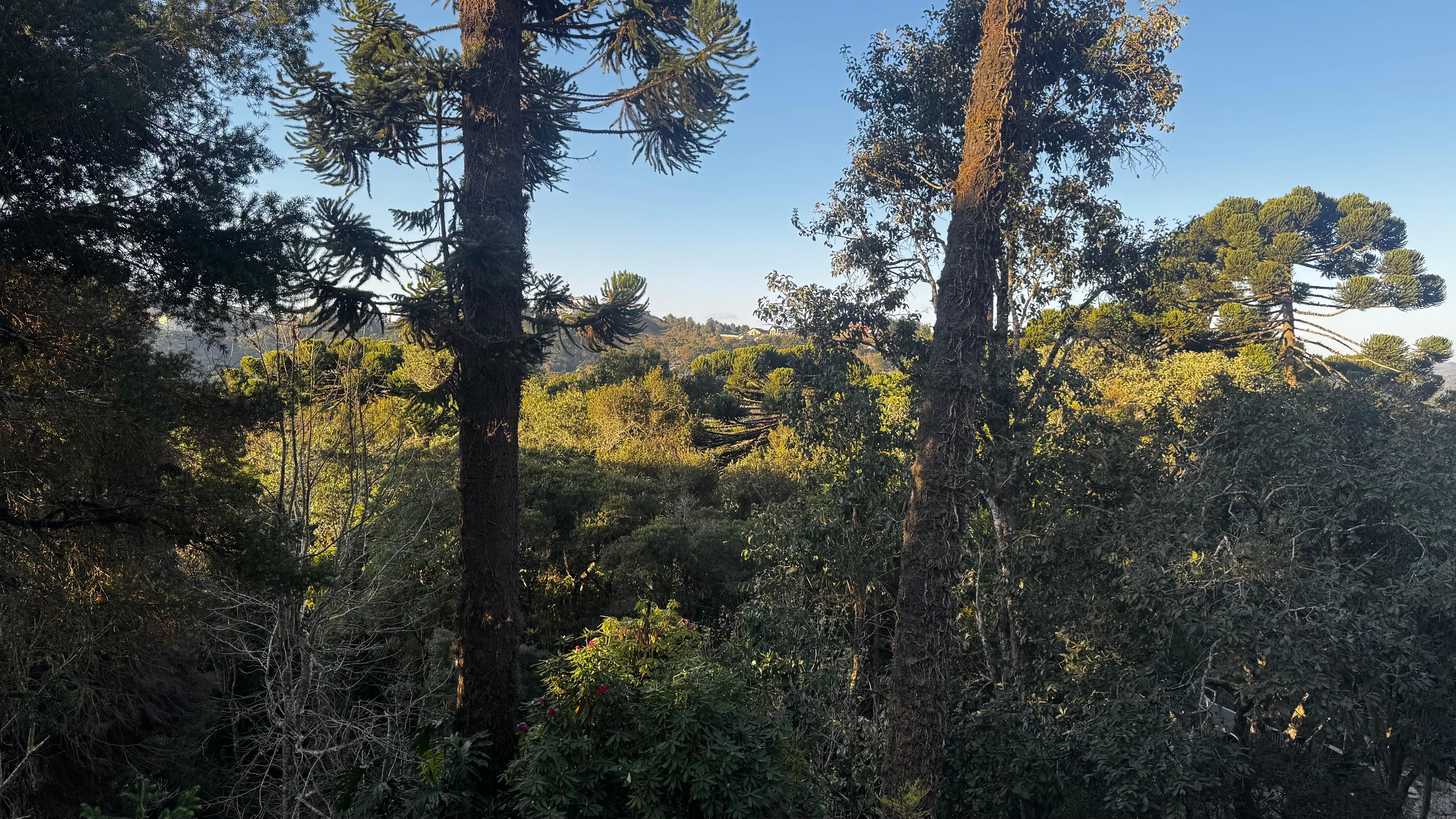 Vista da janela 