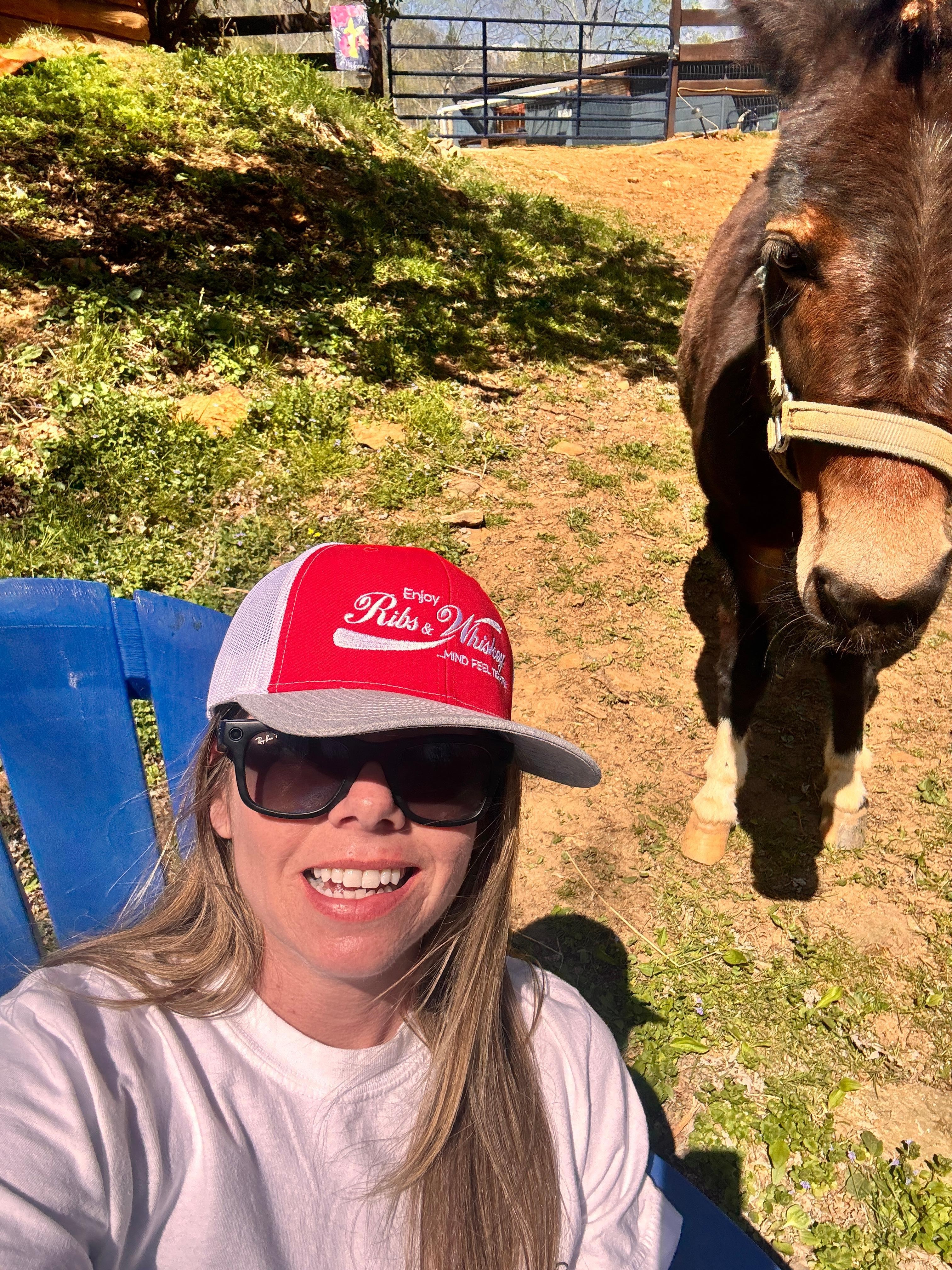 Estrella, the curious and friendly mini-mule 