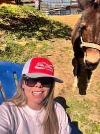 Estrella, the curious and friendly mini-mule