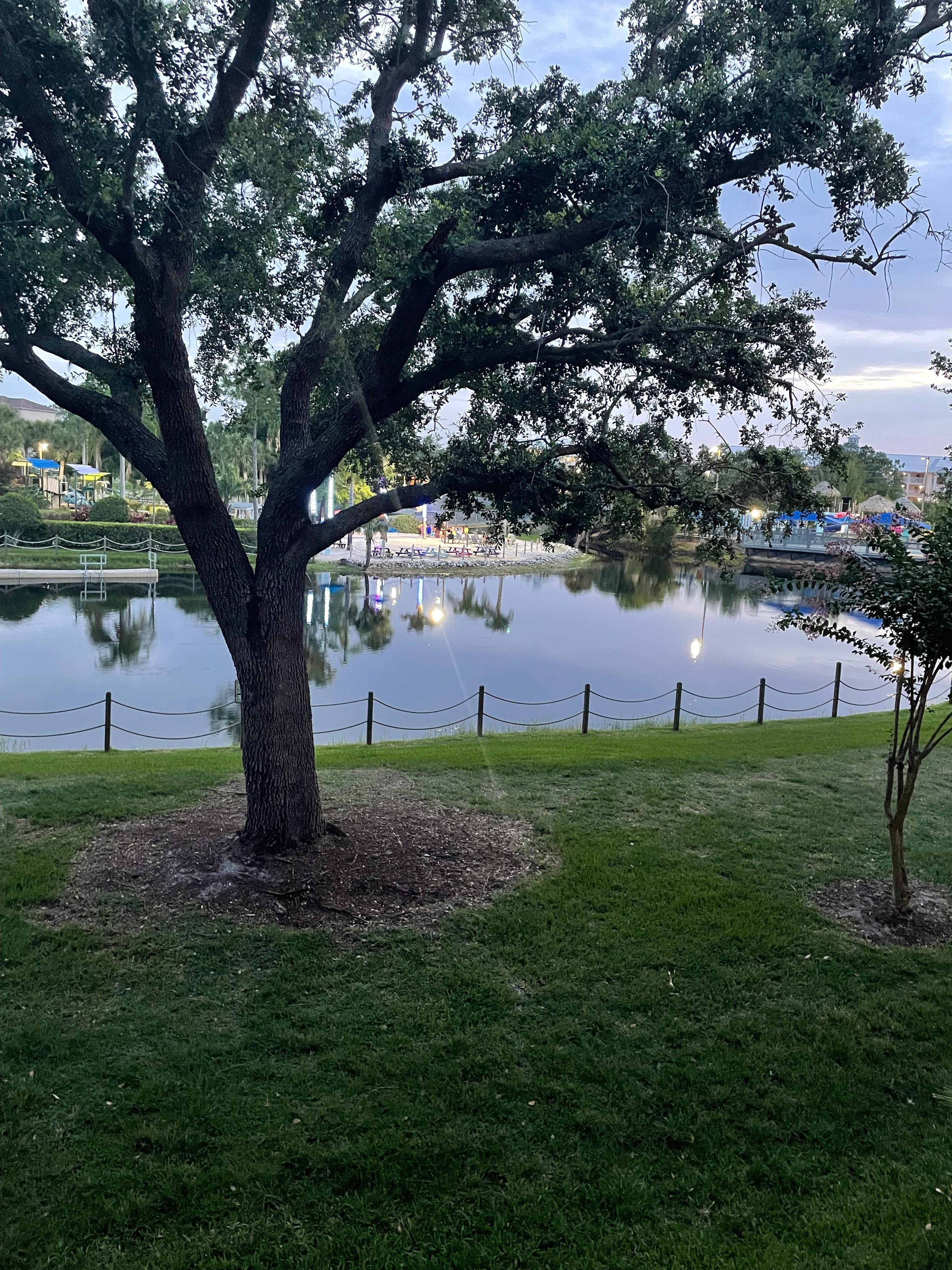 Nice view