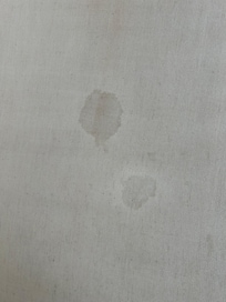 Stains still on couch after cleaning