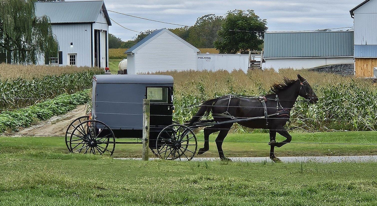 The character of the countryside