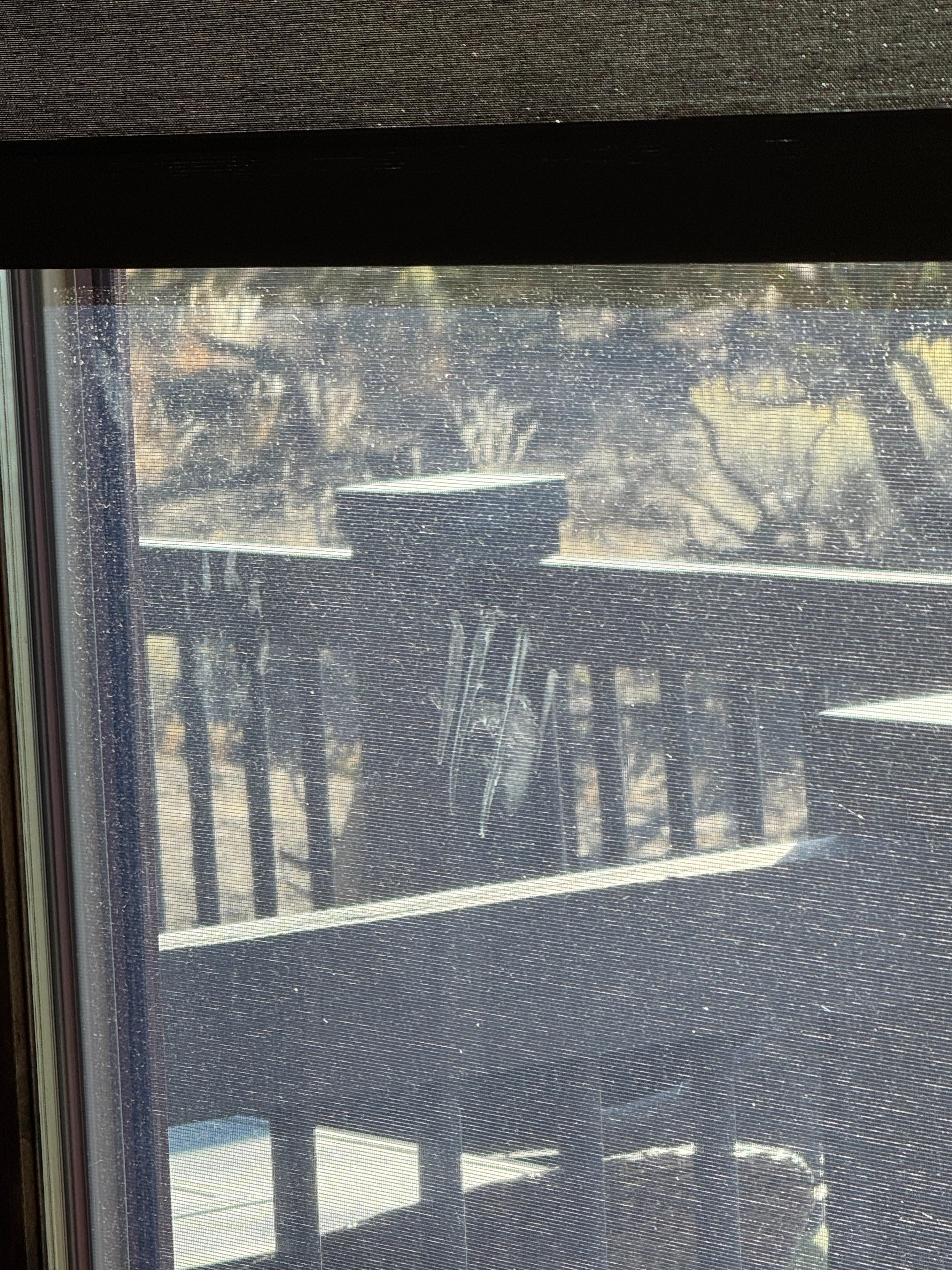 The dog prints that were on the window.