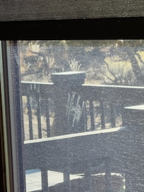 The dog prints that were on the window.