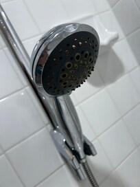 Why is the shower head so disgusting I didnât even want to shower with that