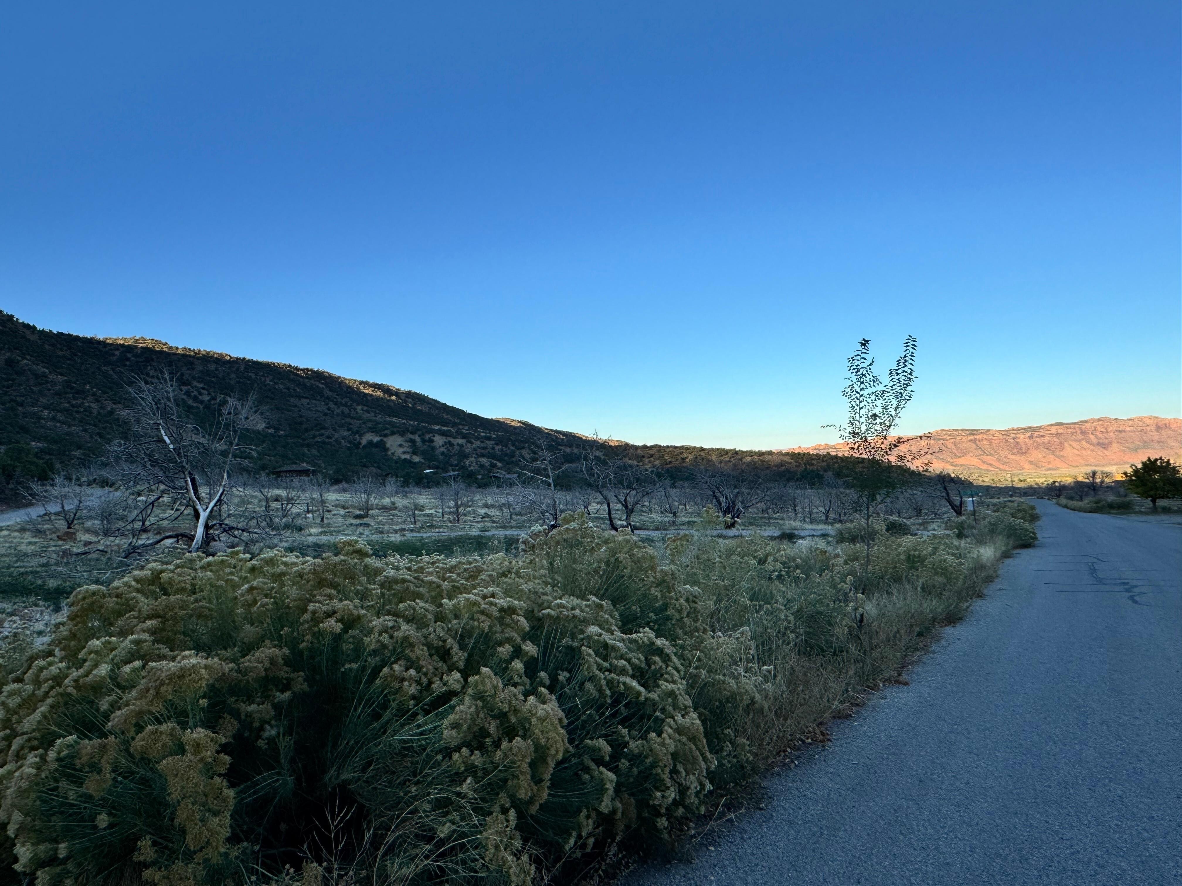 View of surrounding fields. 