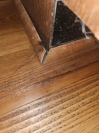 A wad of hair , this was in multiple places