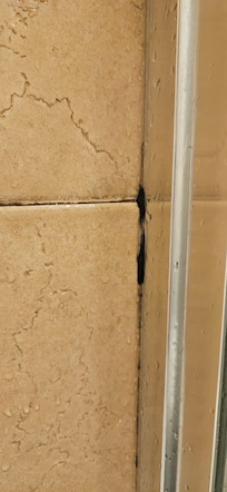 Grunge in the tile grout lines