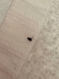 Should have taken a photo of them all floating