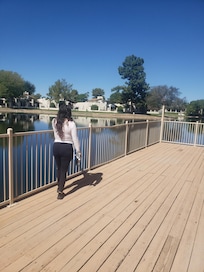 Lakeside view UP CLOSE!