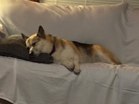 So tired after a fun day at the lake.