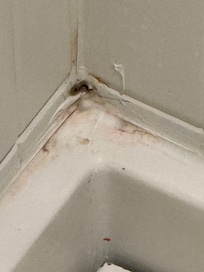 Mold in the corner of the shower. Per housekeeper.