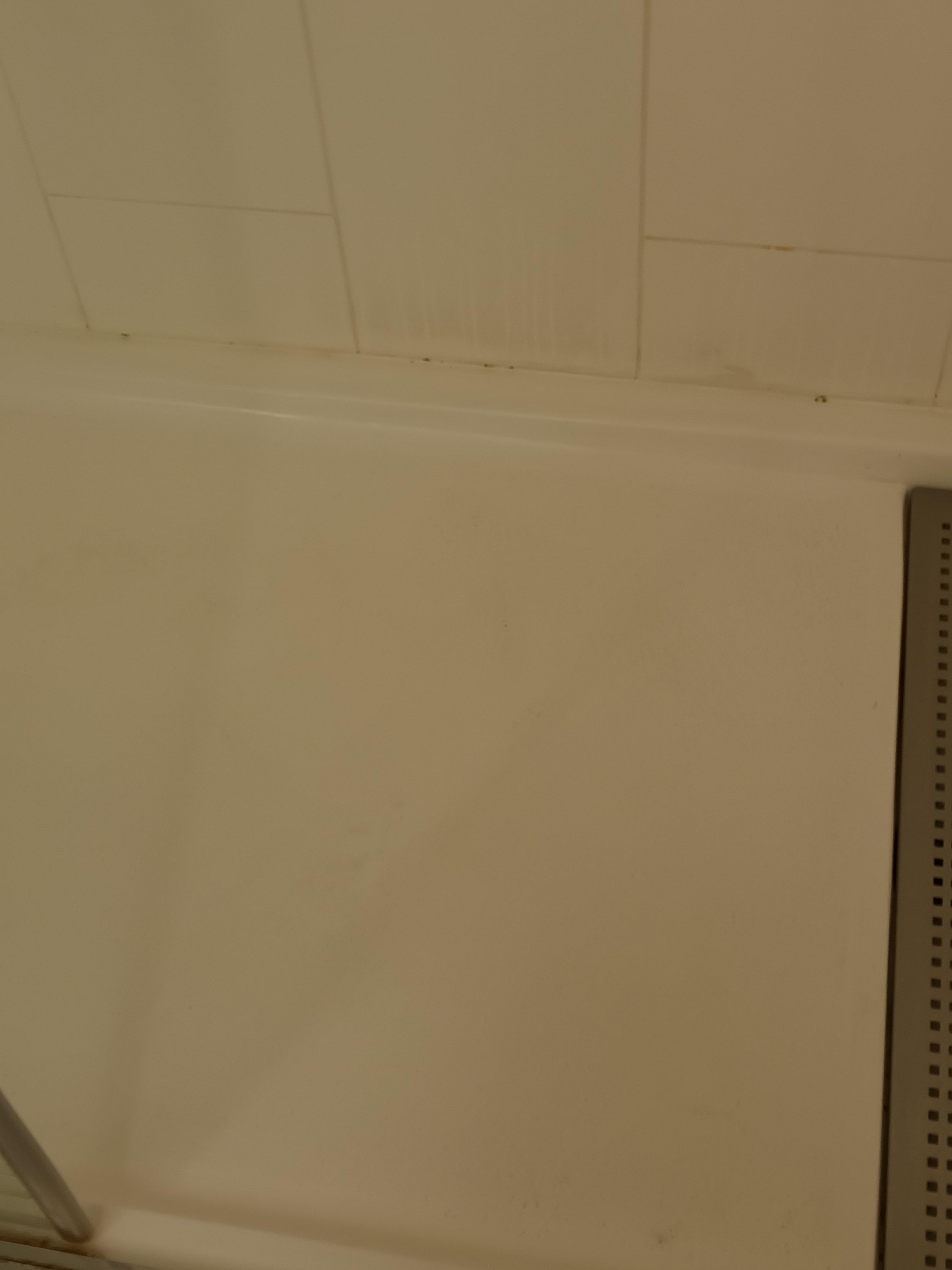 3rd room nasty shower