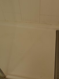 3rd room nasty shower