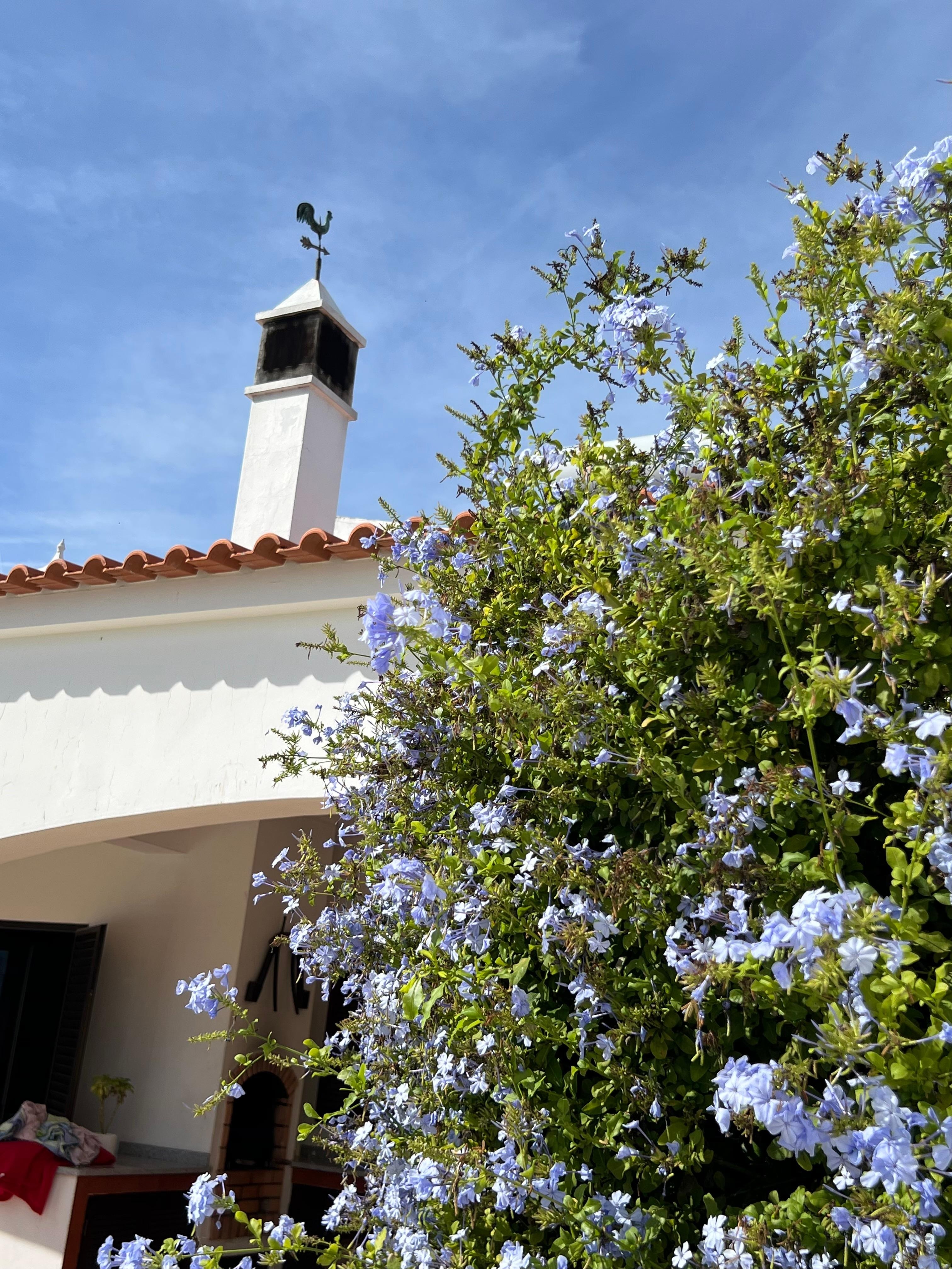 Blumen Terasse bei Pool