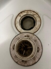 The shower -- can I also say it smelt as bad as it looks ! May I also add i did t use this either .