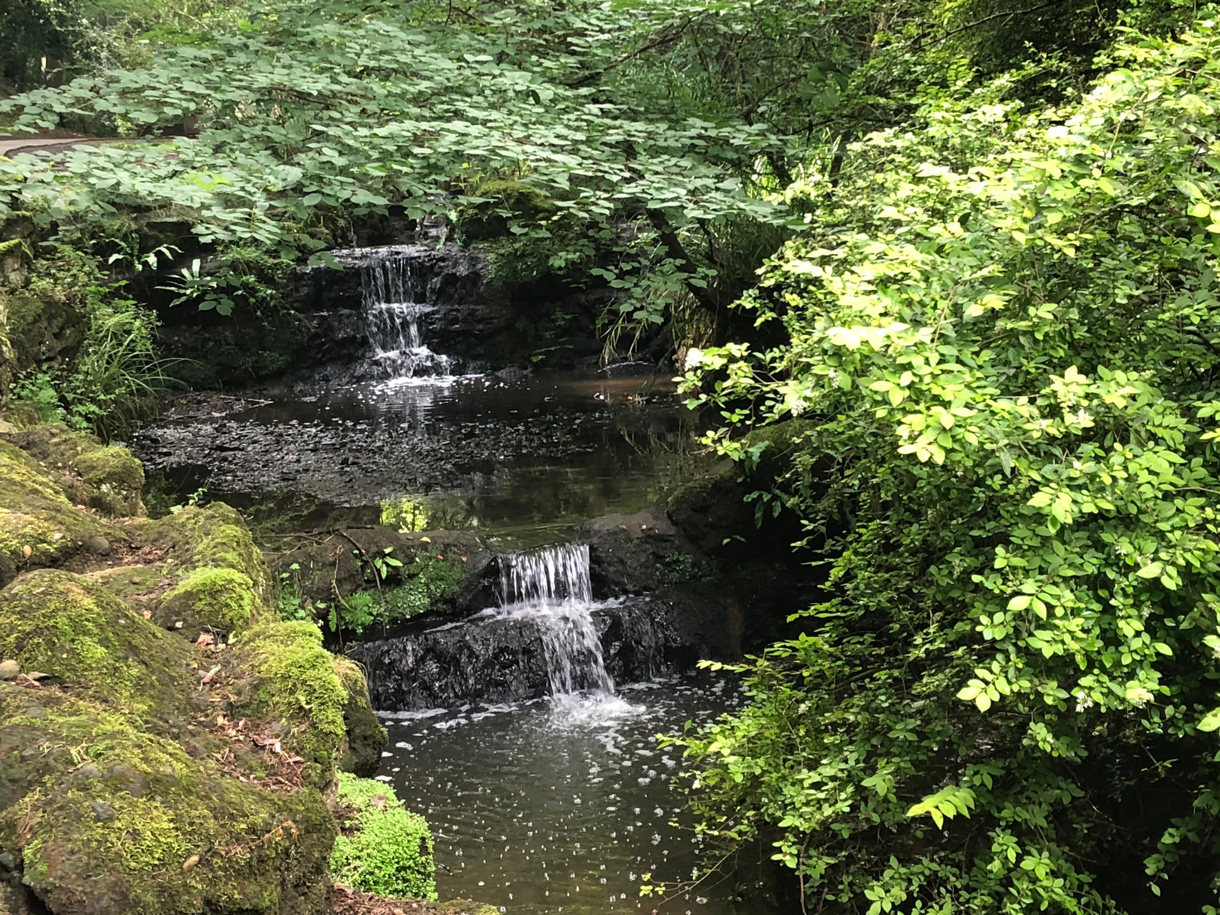 Peasholm Park