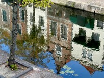 Canal reflection