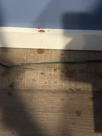 Liquid stains on the floor