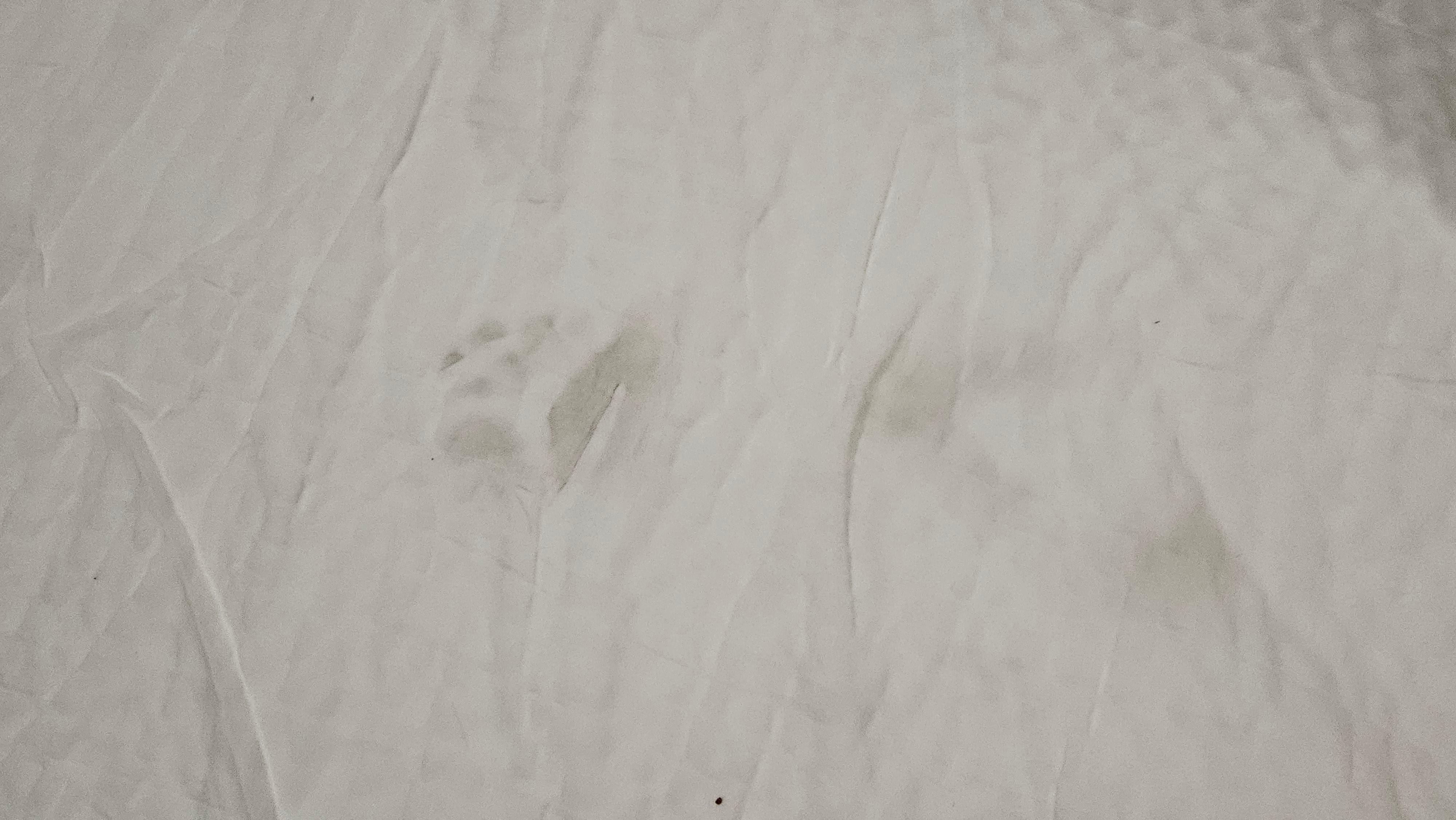 This was the cover on the pull out couch that I got instead of the queen sized bed that I reserved.