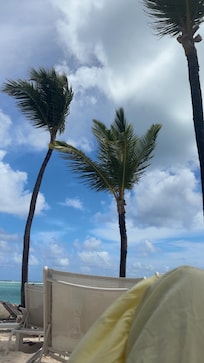 Picture from the beach!