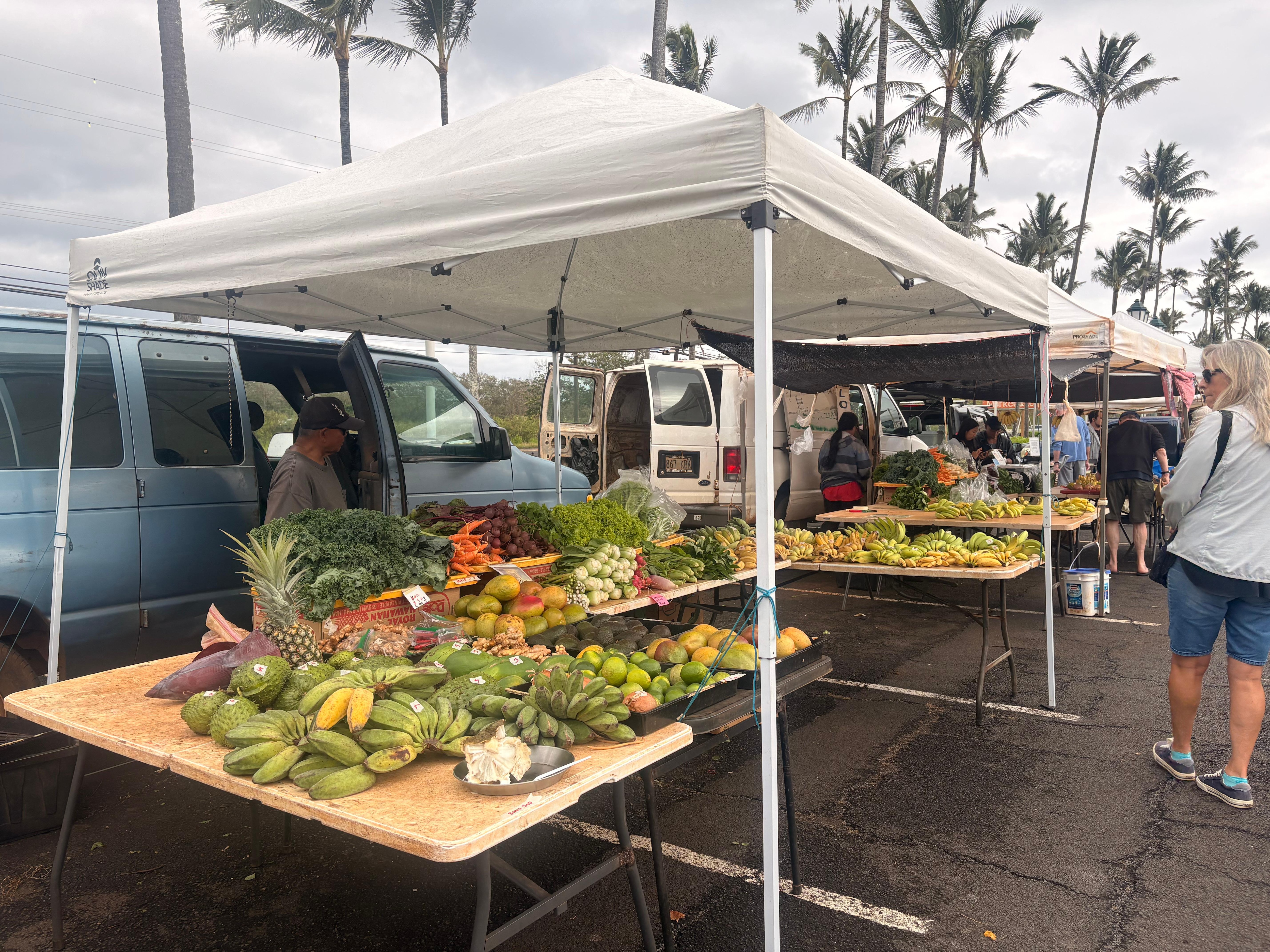 Farmers market at Coconut Marketplace.