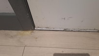 Mold all over the floor and door