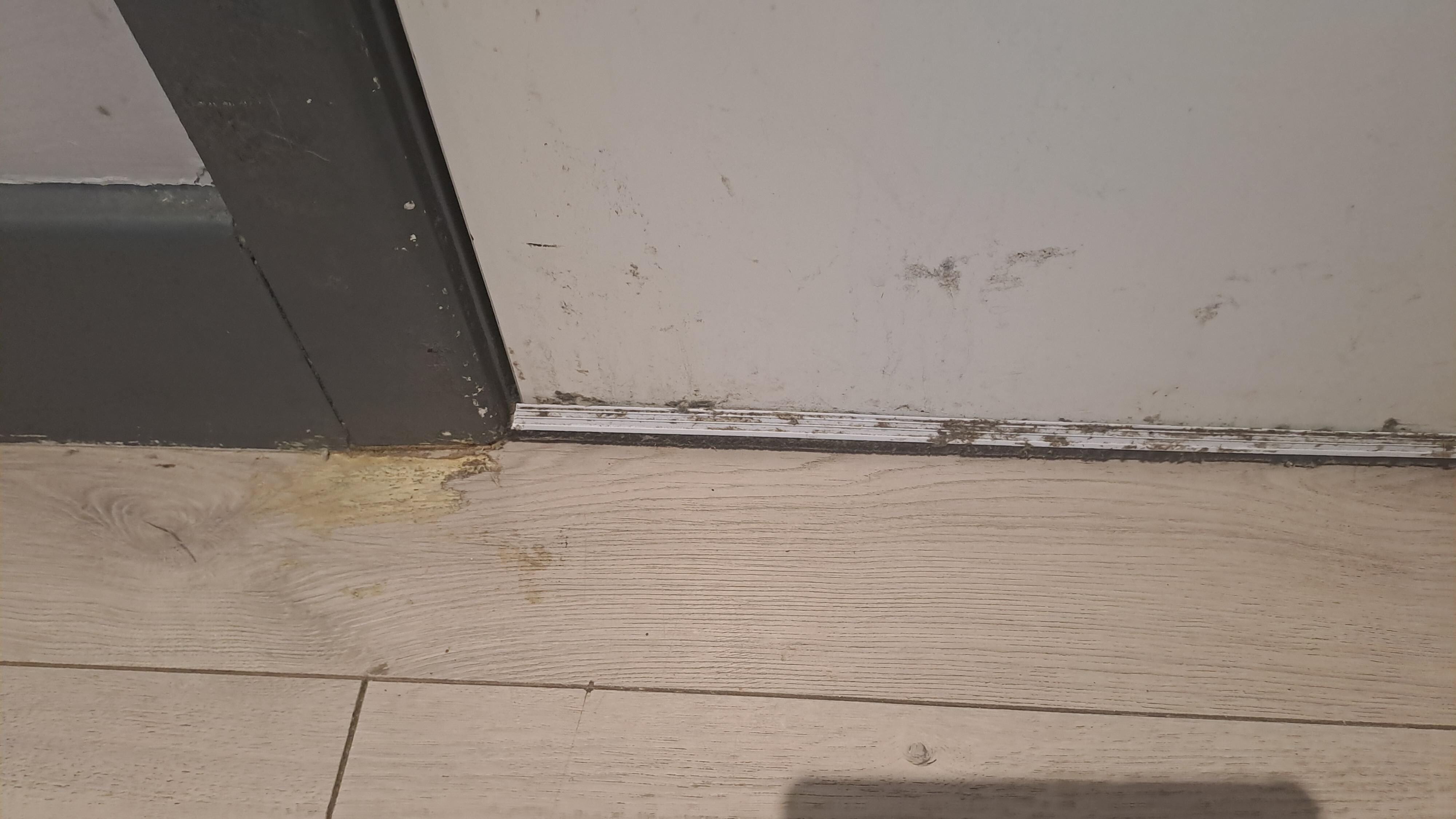 Mold all over the floor and door