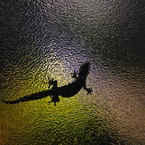 Night watchman.