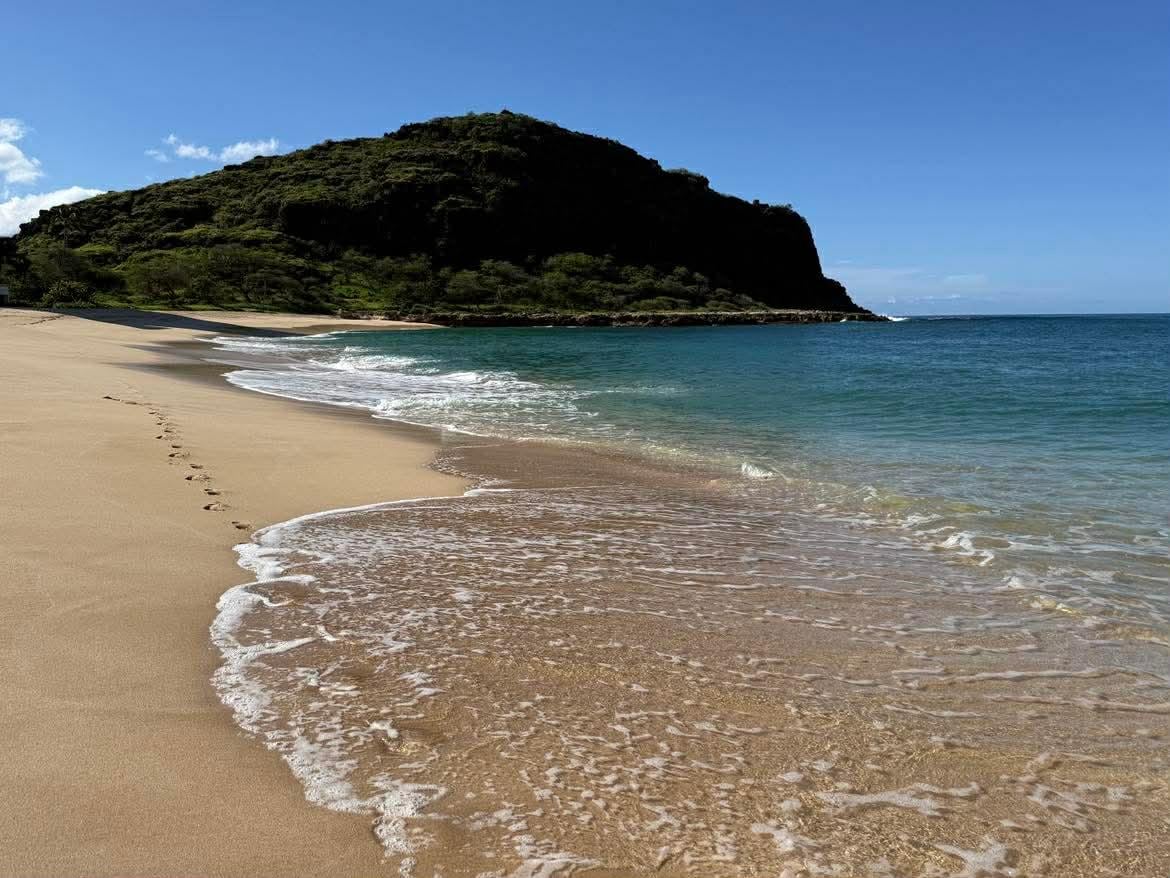 your footprints disappear