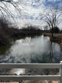 Relaxing view from the porch.