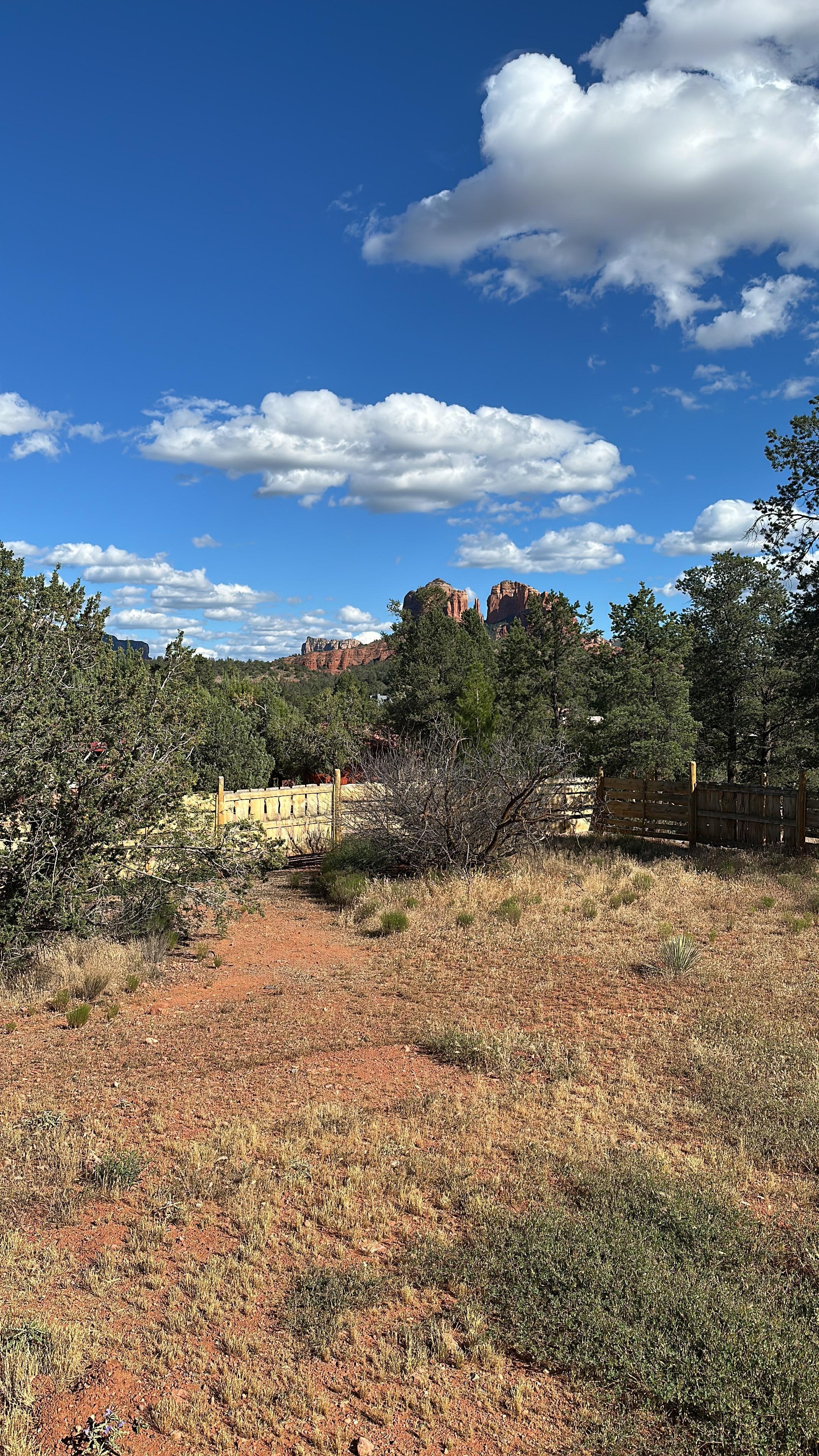 View from the front yard 